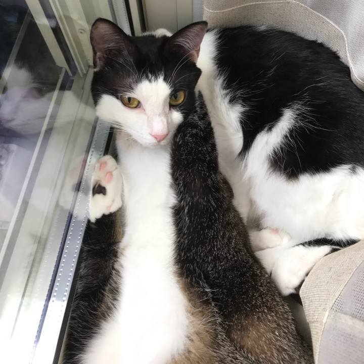 4c053d8e e144 4d65 b0d6 b988b975ed8e