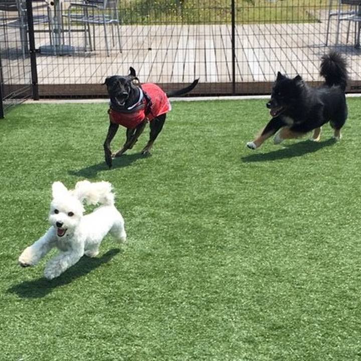 4c058bd7 ec50 4dc7 b9e9 fb8940a8556c