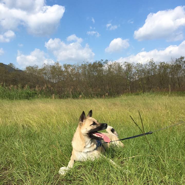 4c060892 a192 4246 bf2c b127e0ebe8f3