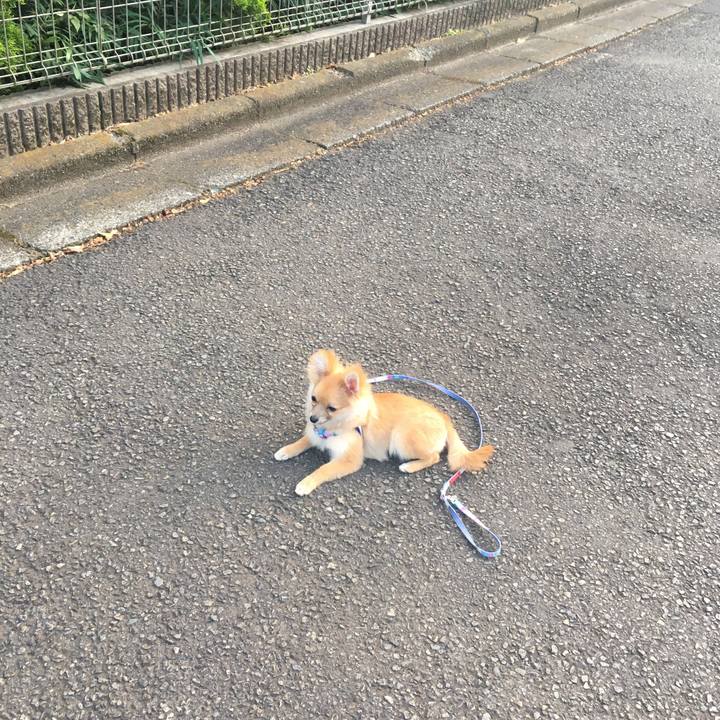 4c0611d5 0212 4bc4 b39e dc63f8151ca1