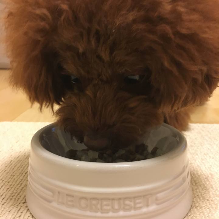 4c067443 6017 445d 97a5 7d1a55112617