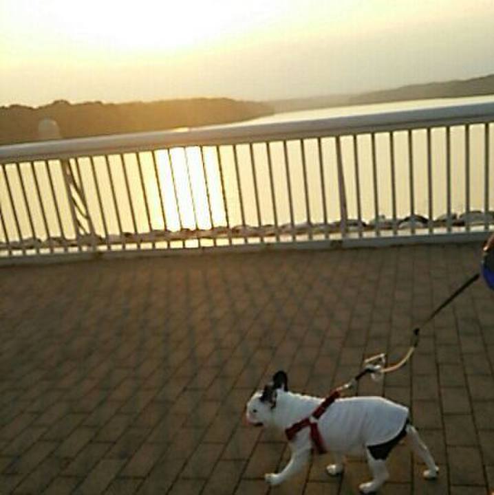 4c0708c1 860a 467a 8cb7 9ed7e66f1c5f