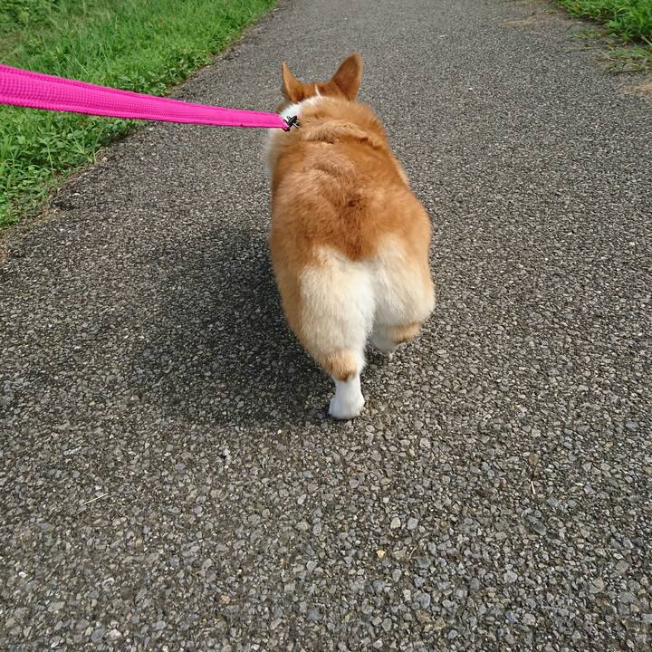 4c07ba9e 8f70 4609 b3f0 7ff88f0619d9