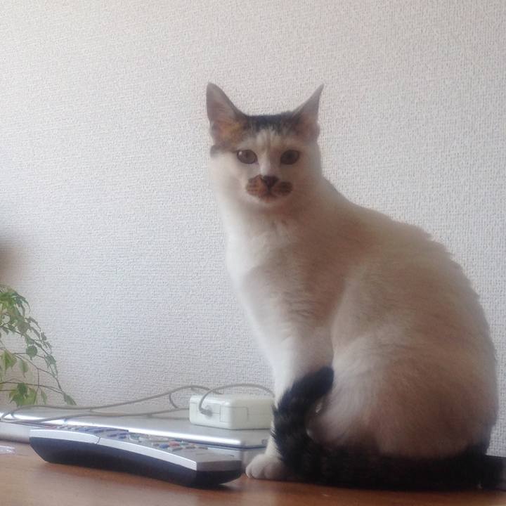 4c080df3 9fc5 4c5a 8810 f96c6eb197ae