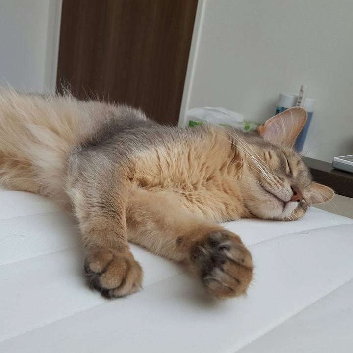 4c080eb8 088c 48cd b9e8 1a8c22e39766