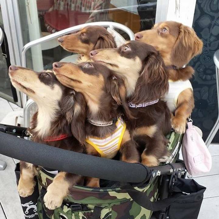 4c0842ee dfac 4fba 805b c77c3819c183