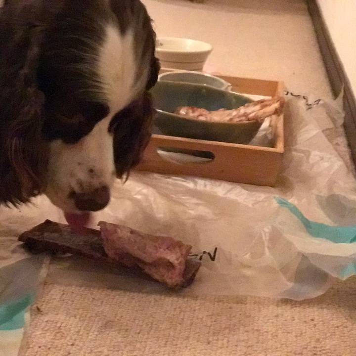 4c0854e9 07bc 4028 a976 d561840f3bec