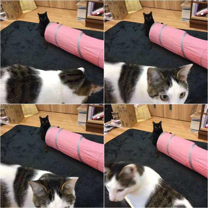 4c0a541c 59c2 413b a261 14e35c977779