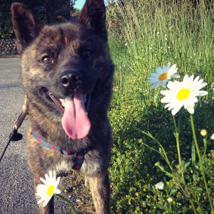 4c0a7f55 a1ba 4d14 a787 dfbed5e278e3