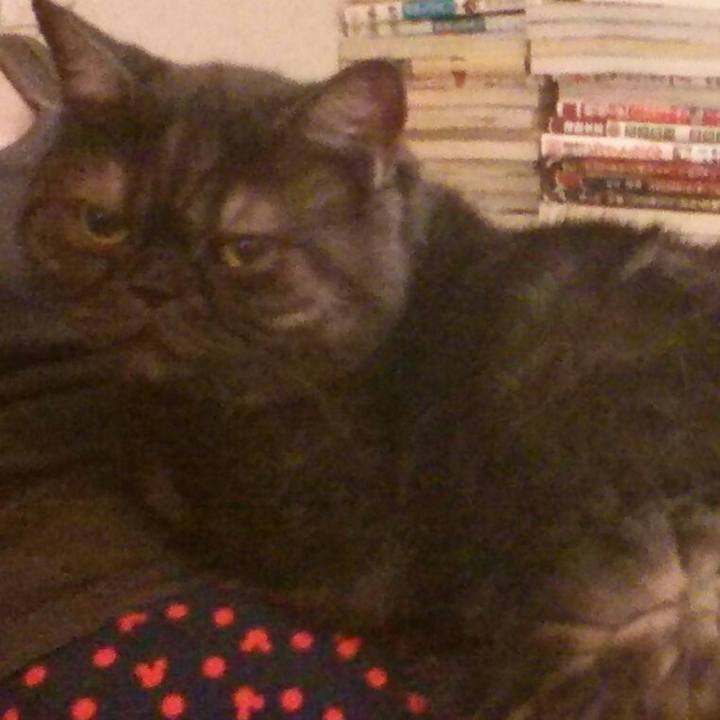 4c0b2927 8cd0 4e24 b913 660022e538b9