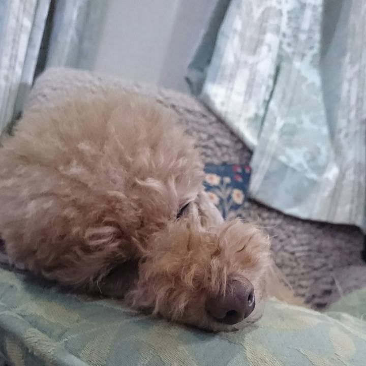 4c0c73cf a34a 4ed9 89e7 63804420ad53