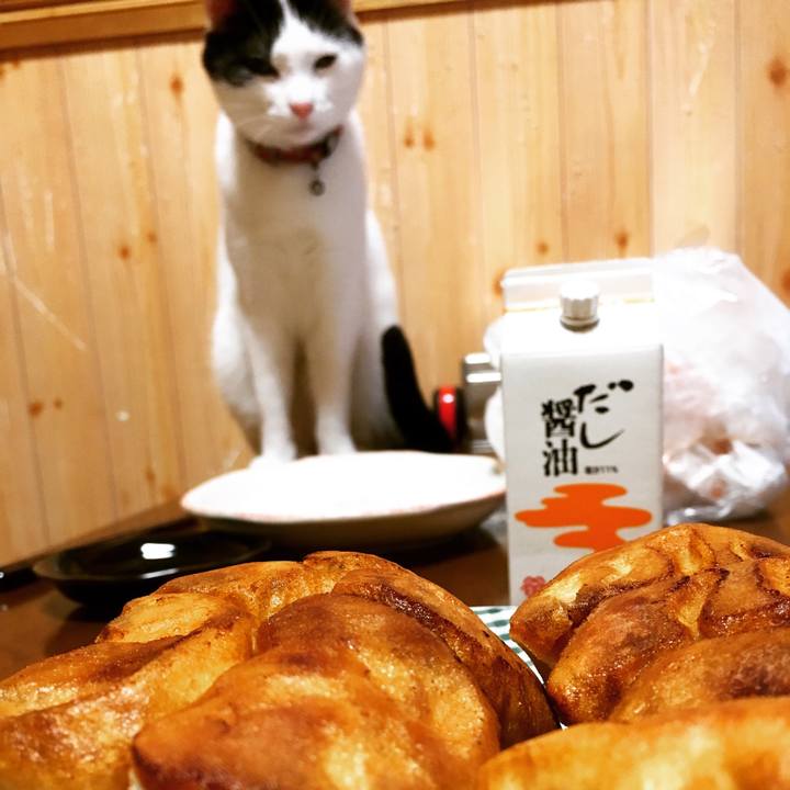 4c0d1208 cb88 47f9 9e38 da3ab78f105b