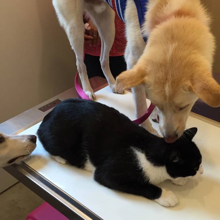 4c0e57d2 57e3 46a8 a291 52560c0df3b6