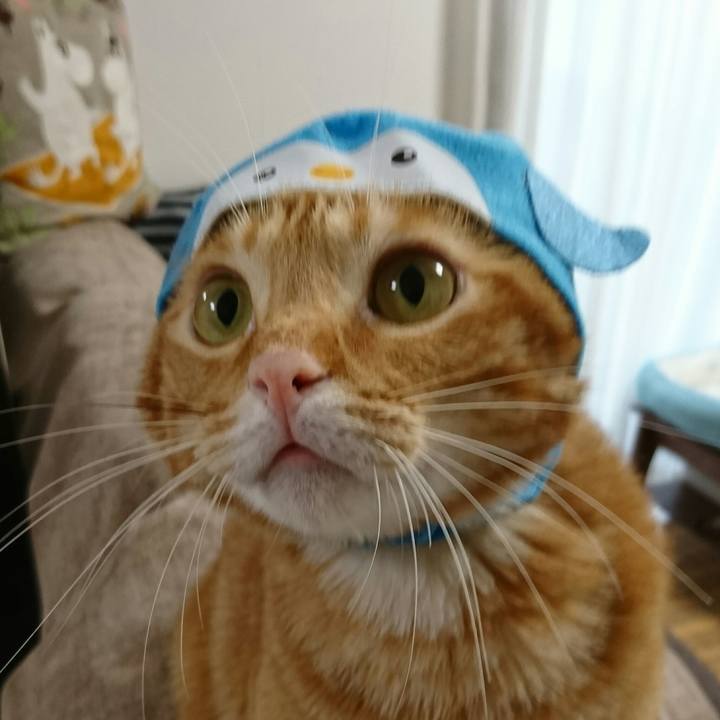 4c0e7101 24e9 4f8c af42 b63c34a67529