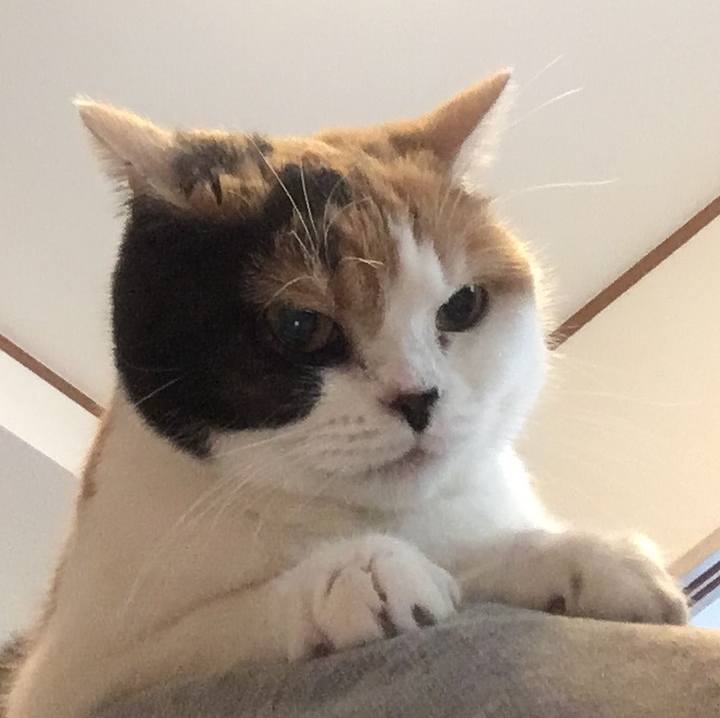 4c0e90db b07a 4c2c 9f4c be26870a4fef