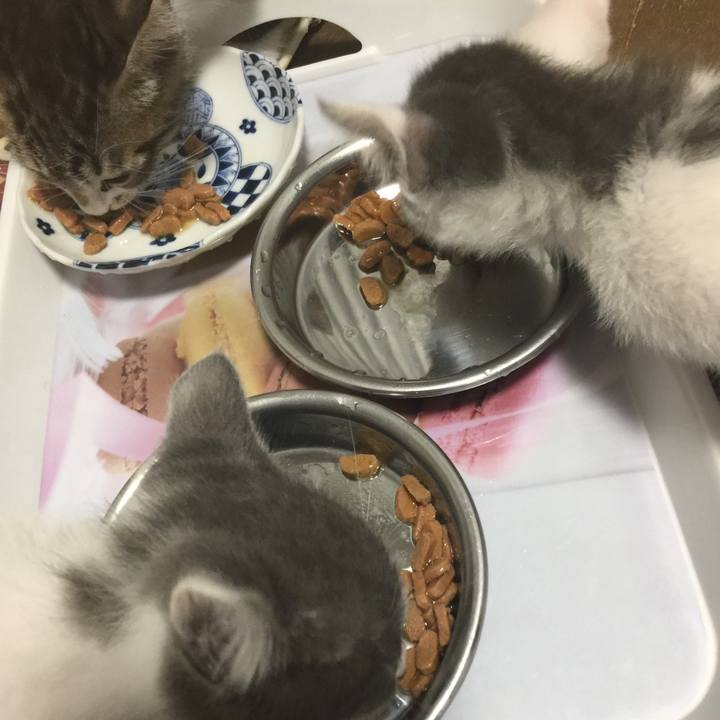 4c0ec2e8 44a9 4ea2 8a2d 6dab06a5980b