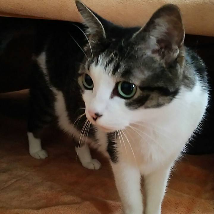 4c0f67ad 46e7 4ef9 b165 87656abbb51d