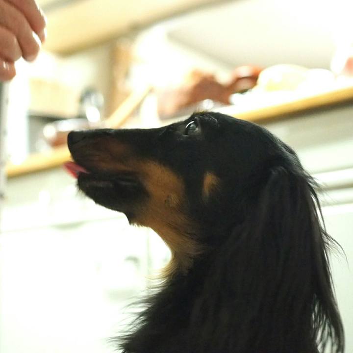 4c0f74fa d817 459f abf3 3a9729bfc4a1