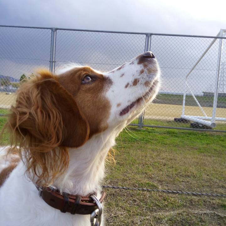 4c107b84 213c 4fbb b03c 04140e2710f5