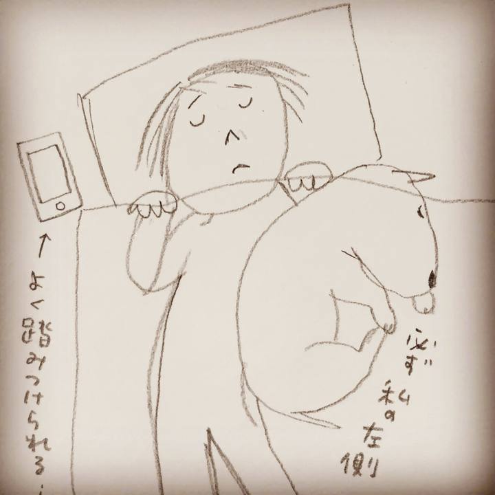 4c107de7 cea3 4c52 9935 07ccbe53820c