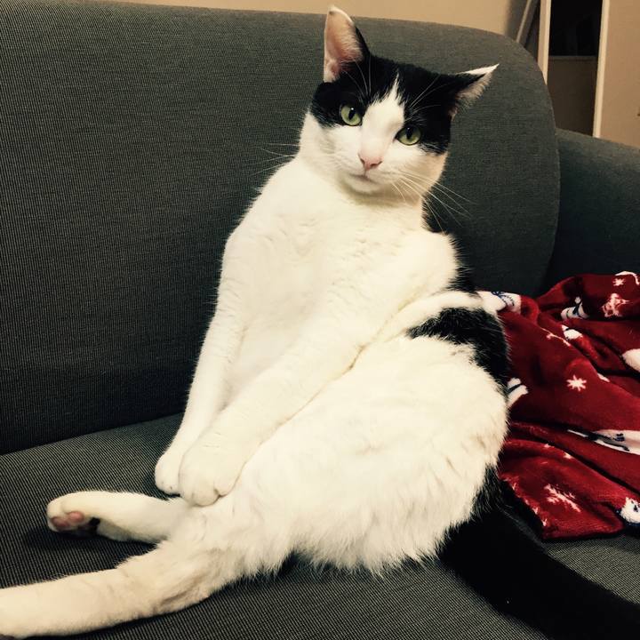 4c10ea15 95cd 428c 9275 9c9220d68f0e