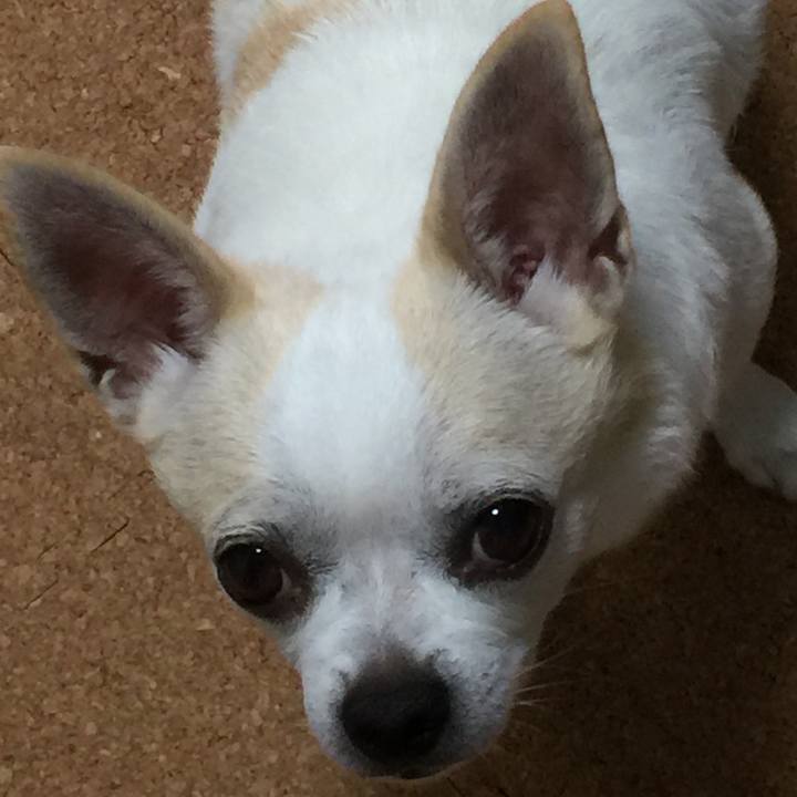 4c113095 2554 41a7 936f 9be13dfceb3d