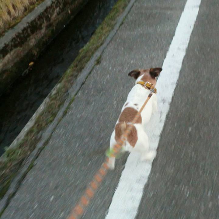 4c114106 6ce7 4eab be4c 3c0612df5c61