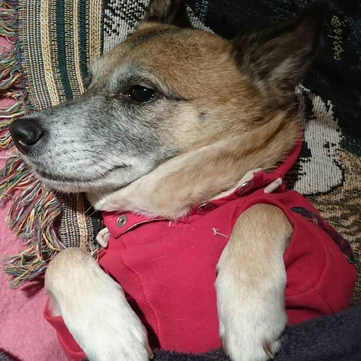 4c117475 11a3 4539 9065 107ddde725d2