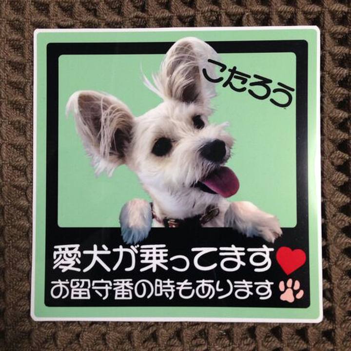 4c11c606 e4e8 42ff a5e6 7cc44f4d5bda