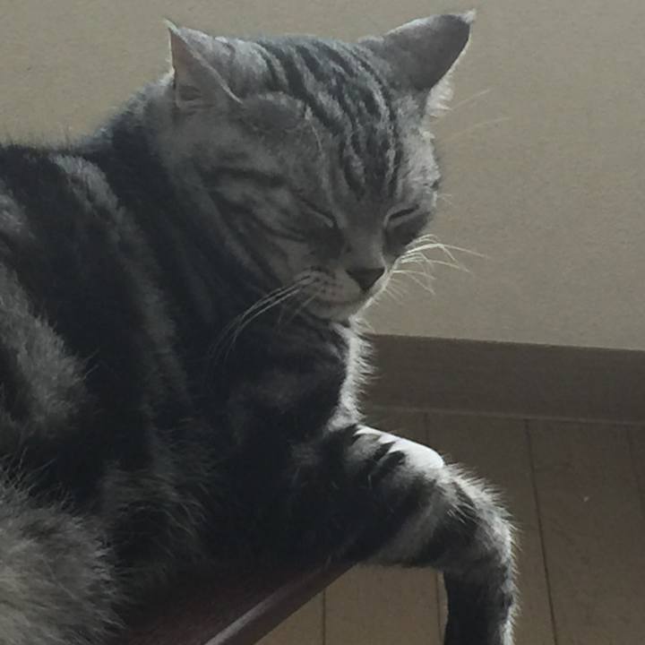 4c11c7e1 aea6 4975 8432 2b6e334bff86