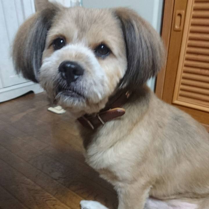 4c130994 09c6 466c b13e cf6f3a266003