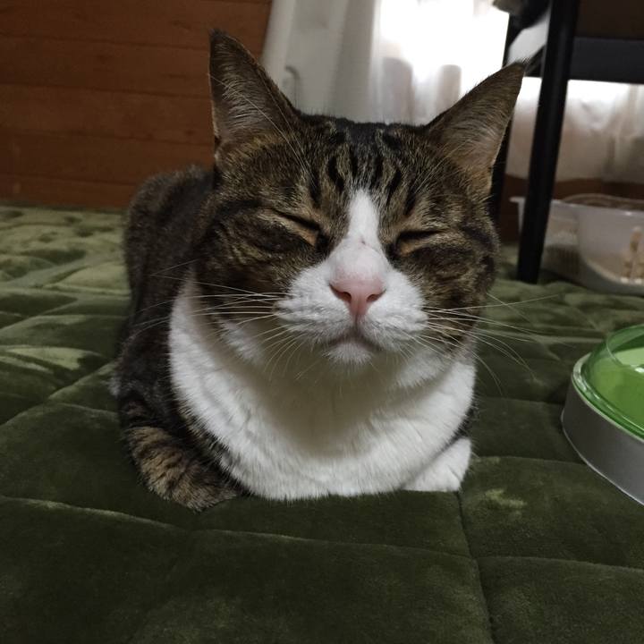 4c141dfa 0b61 4944 a856 01b1833cca0e