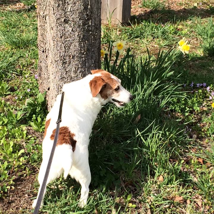 4c14201e 7a72 4df7 bde5 95908462b95a