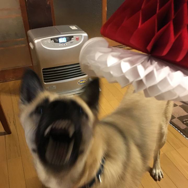 4c14847e 32b6 4b72 9452 b03bfef61514