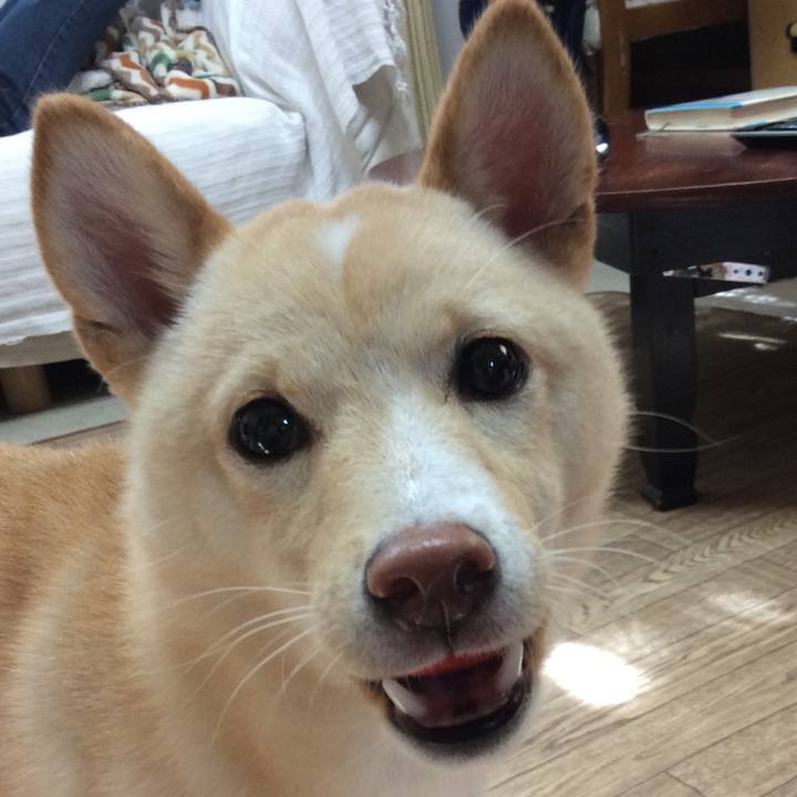 4c148c10 1ab3 415e 9d8c 898cf91e94a8