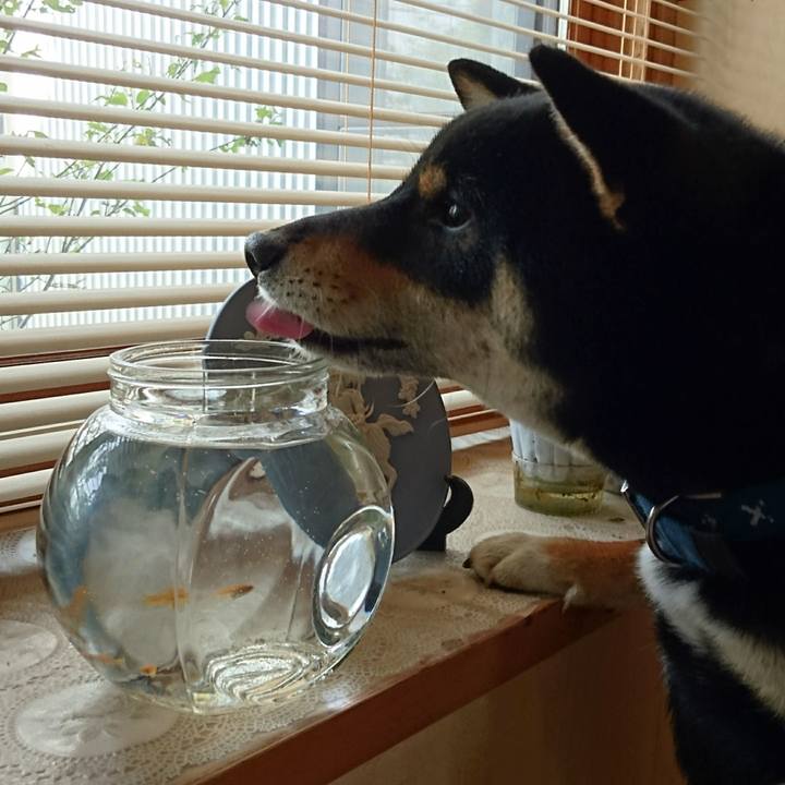 4c14ca52 e71b 428a 8280 5ccfa6cc914a