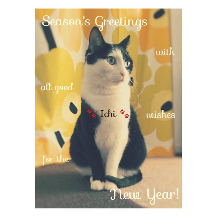 4c14ee56 337c 4e70 9493 a74cc419e046