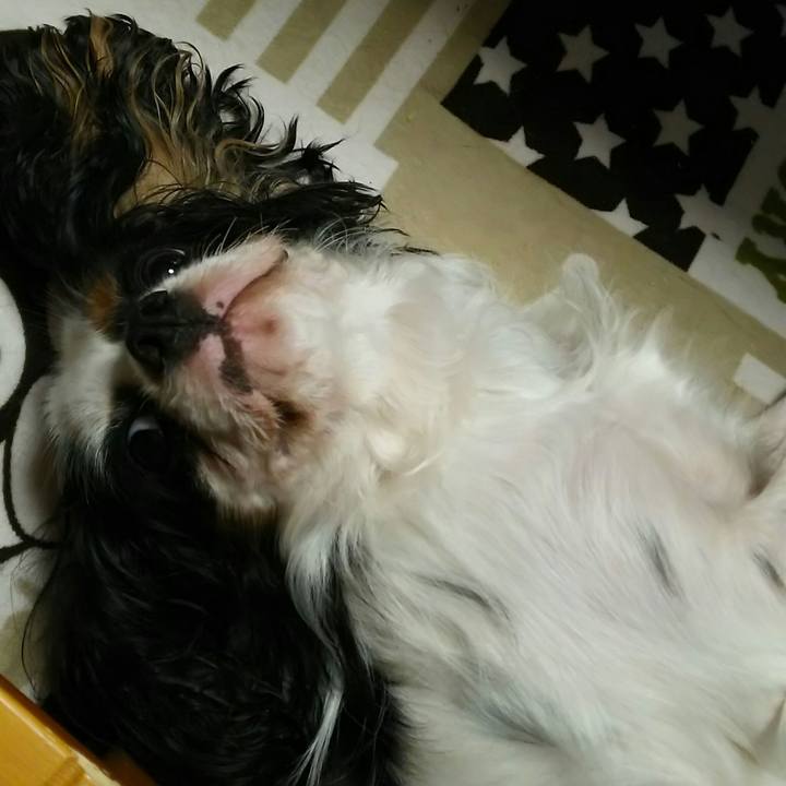 4c15293c 4d31 4739 af7e 66b707453551