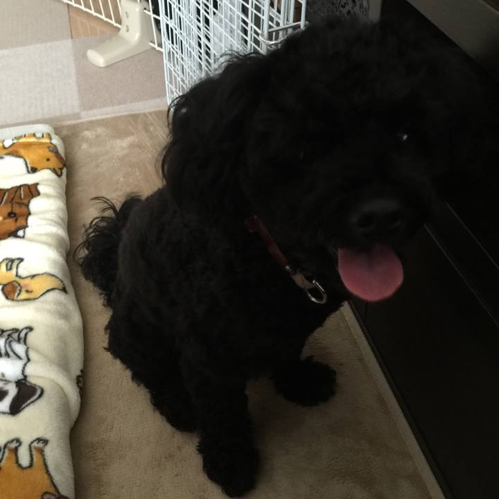 4c155ff1 6edc 4b69 82dc acdae46e0440