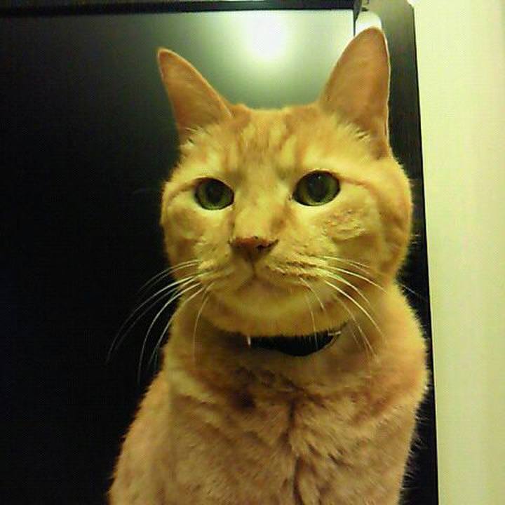 4c1576e7 615d 44a6 9d8c 3440e9d8c510