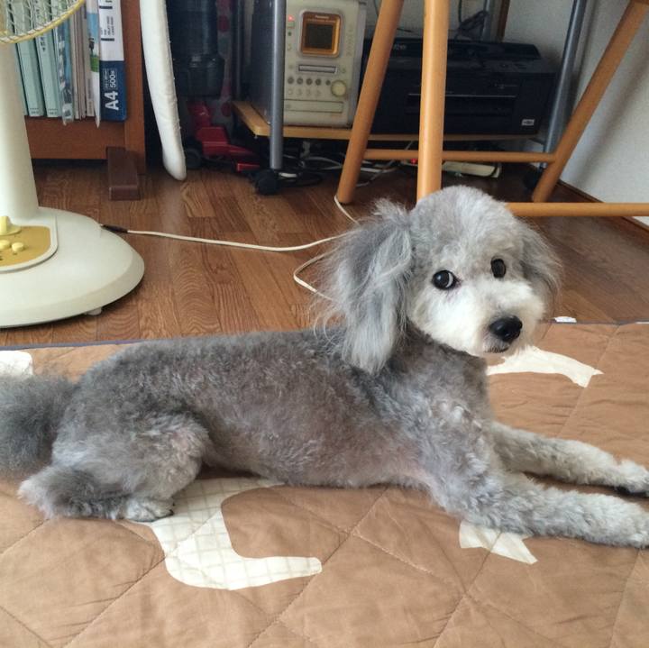 4c1597ca a6dc 4eda 8fa6 ea86d826ce81