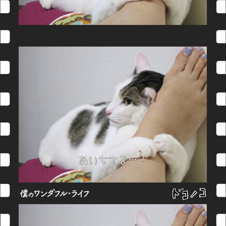 4c159c34 a0f4 4def ac73 f15c95bf5a01