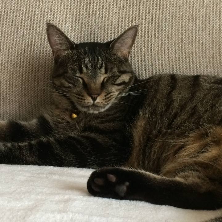 4c15b949 5a24 4643 9046 5422ecb51c39