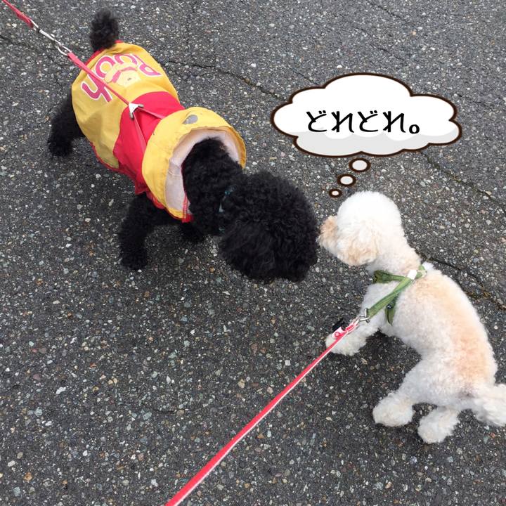 4c15ff46 766b 42be 8c48 97aa3de1db64