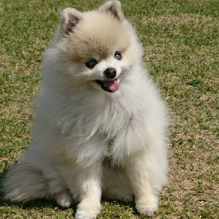 4c1615db c96d 492f 8a1d e0bfeb9cb236