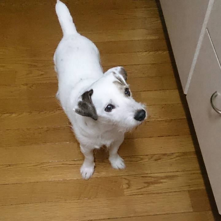 4c1830dc c11e 42a7 996a c8eb00972968