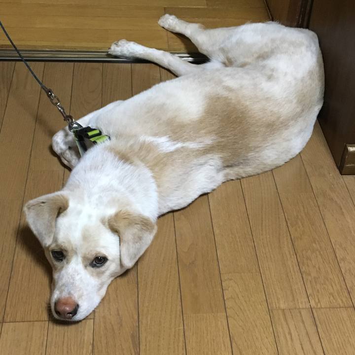 4c1886b7 fd17 406f 96a6 c2d0bfef98a3