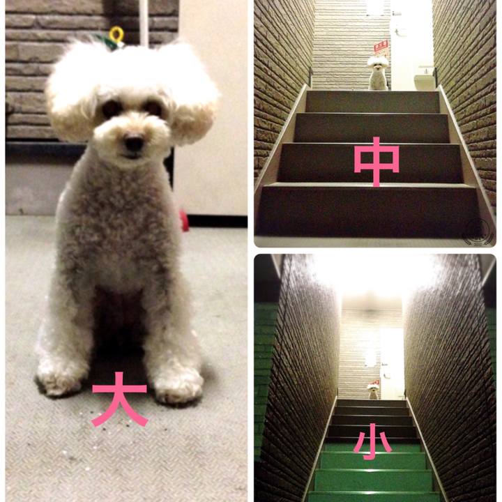 4c1892b6 0ed4 48e6 921c 2c9930abf583