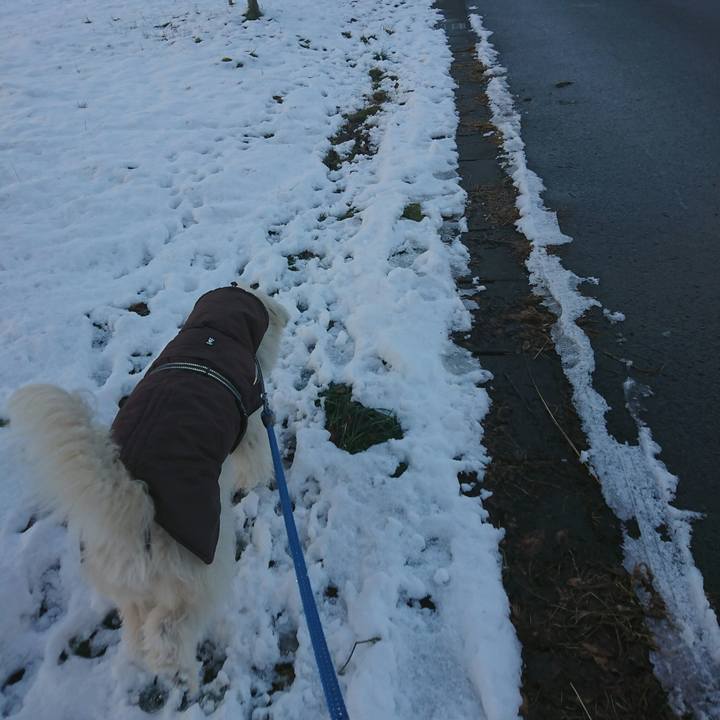 4c194960 d22a 49d6 8c03 1b1917637a1f