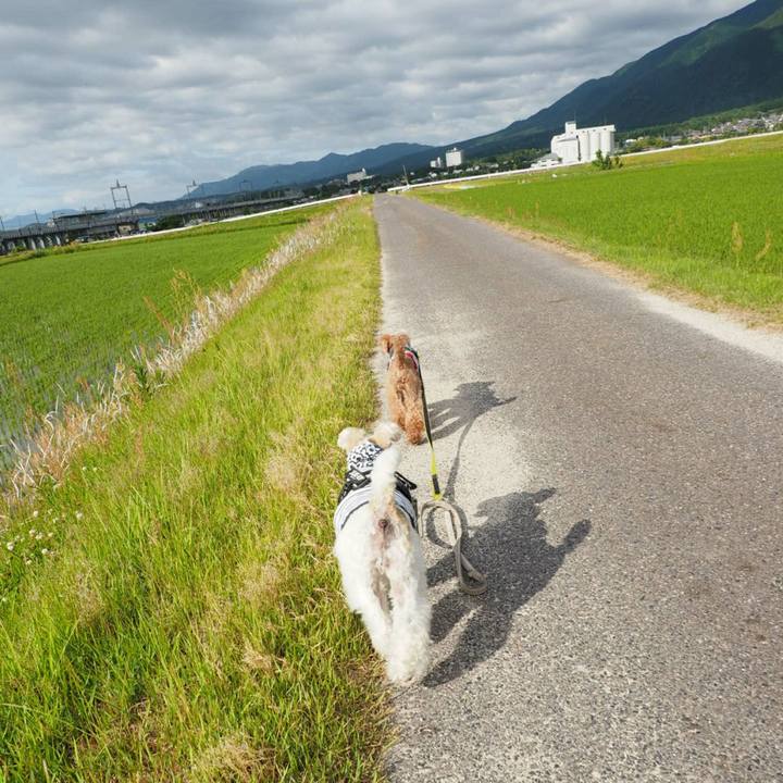 4c196bf4 2ce7 4270 9e2a 562a4a4aa416